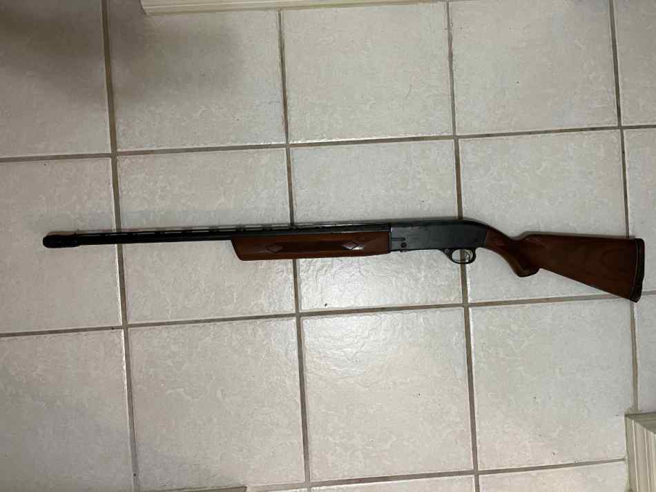 Sears Roebuck 20 gauge shotgun