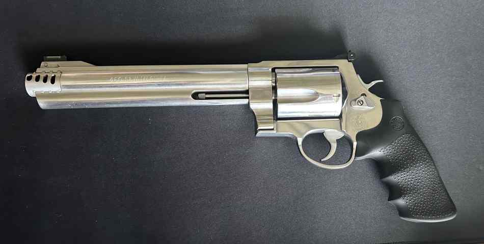 S&amp;W 460