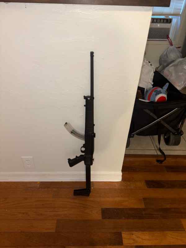 trade 10/22 with rare chassis for any .22 semi aut