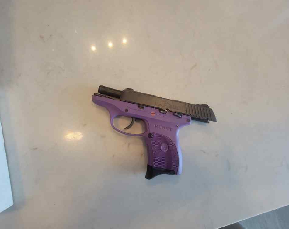 ● Ruger 380 Pistol ●