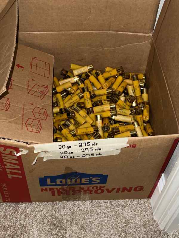 Updated 12/20ga ammo - Live Oak