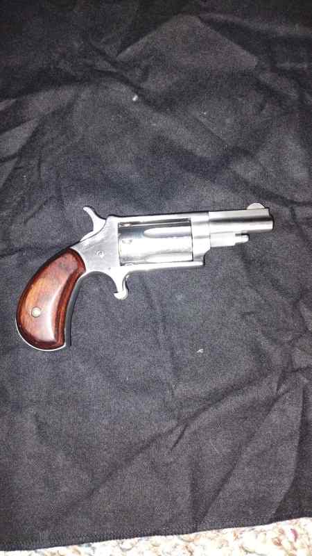 NAA .22 WMR MINI Revolver