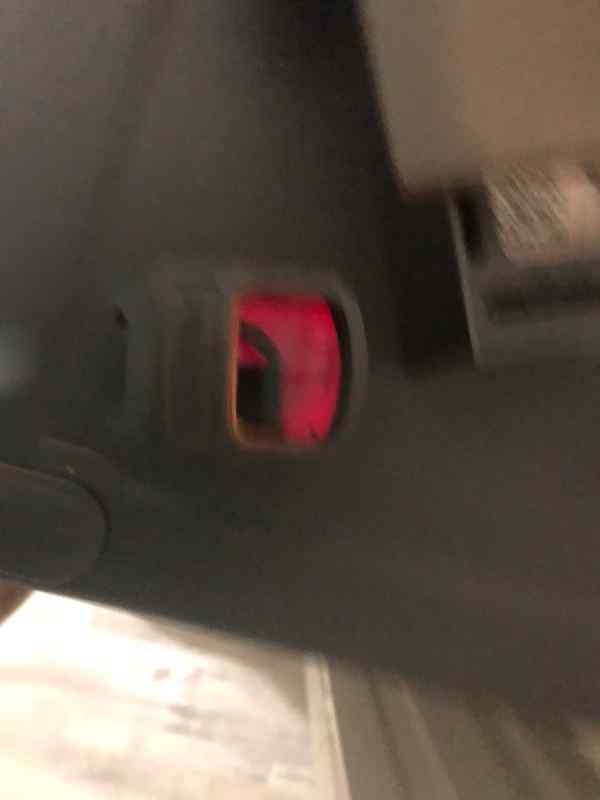 IMG_7585.jpeg