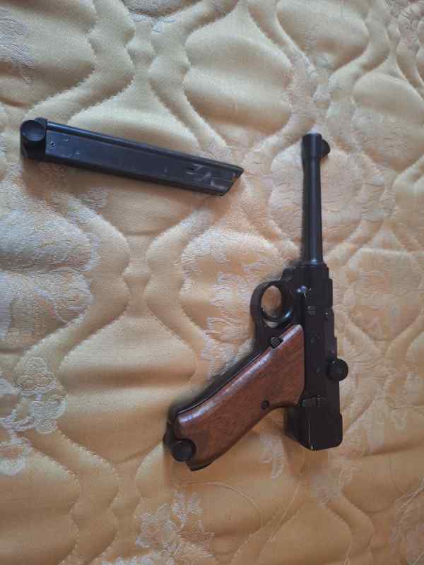 stoger luger 22