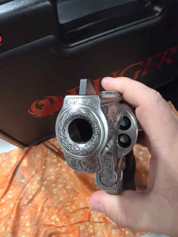 7133.jpg
