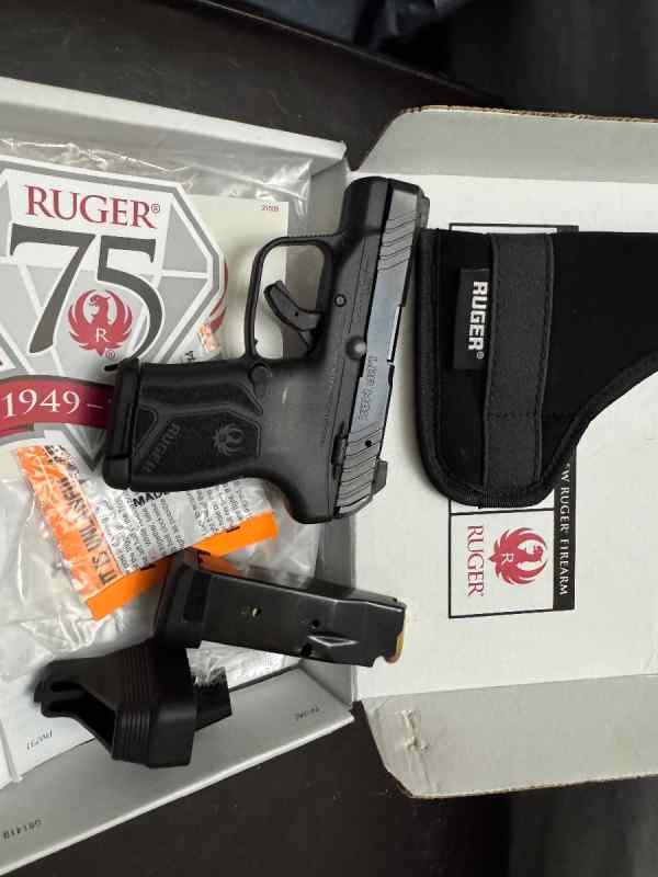 Ruger lcp max