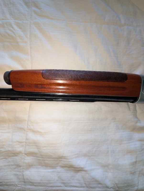 2161.jpg