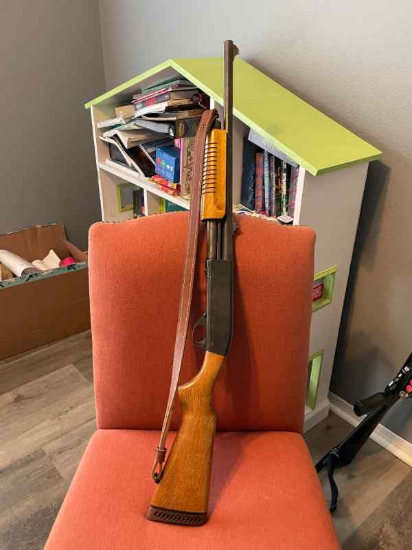 Multiple Guns for sale with extras