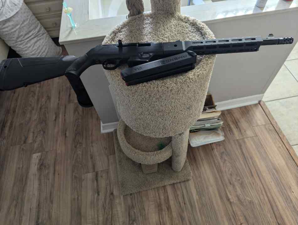 WTS Ruger PCC carbine