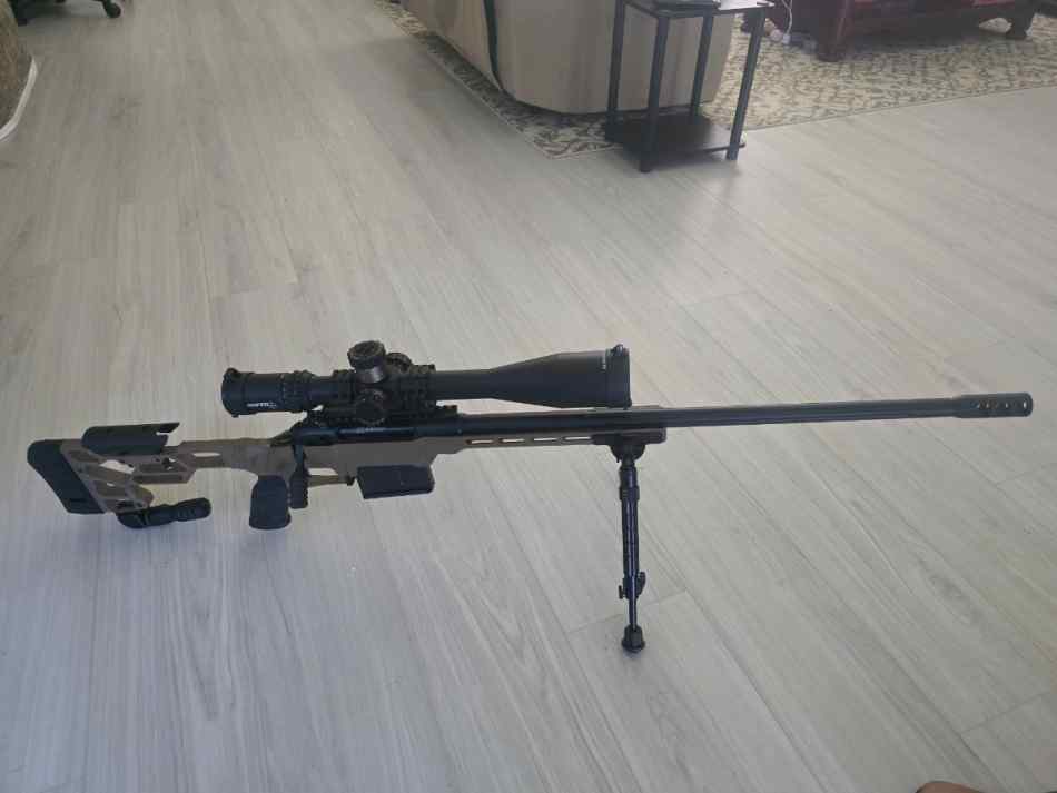 Savage 110 precision 