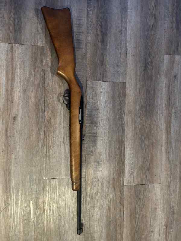 Ruger 10/22