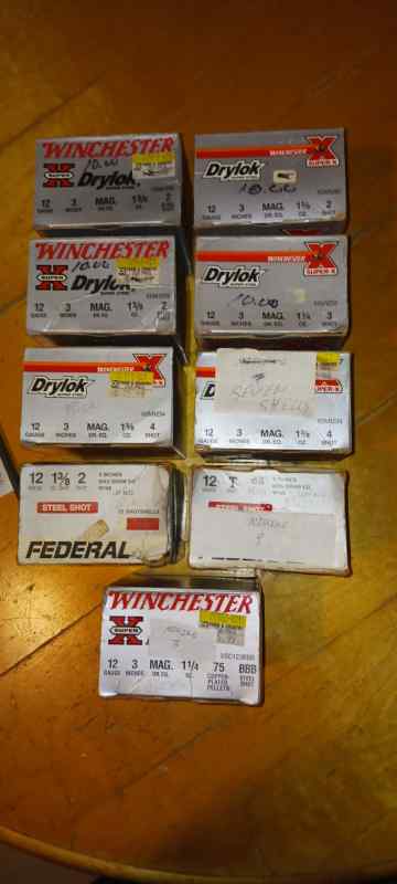 Winchester  and Federal  12ga 3inch steel shot