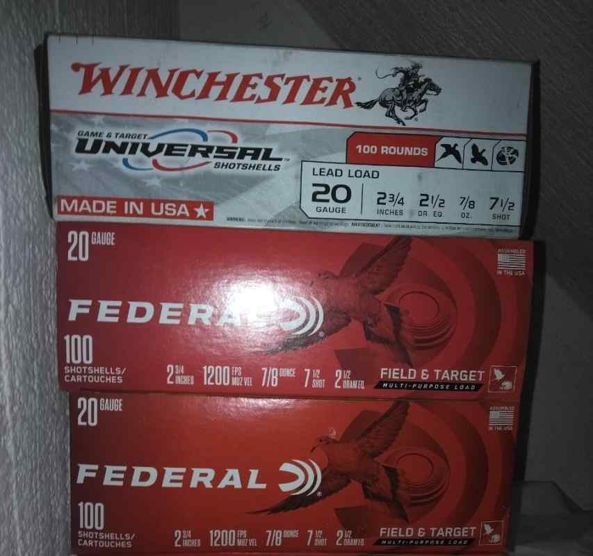 20 gauge shells 300