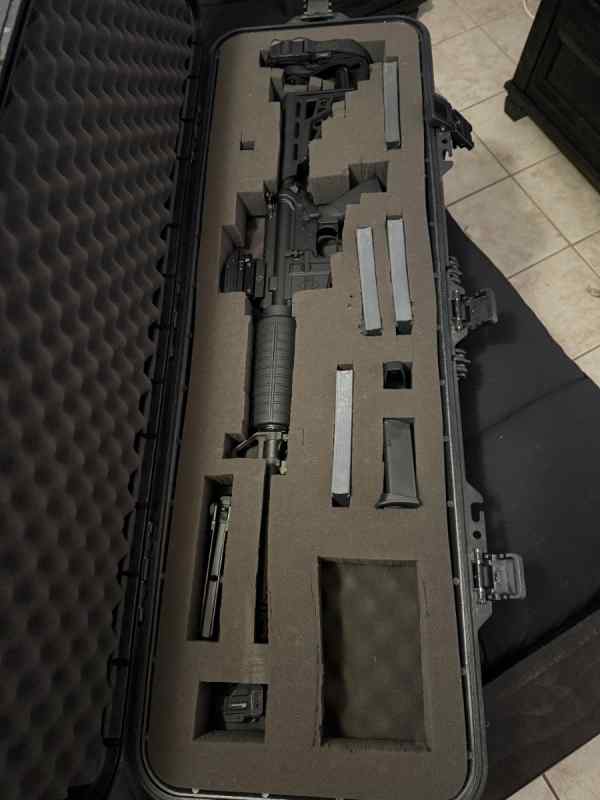 Diamondback AR15 with Case and Magazines Plus