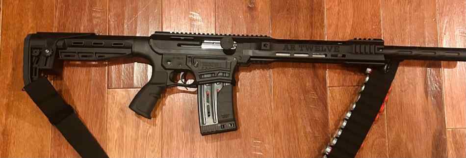 AR 12 G4 tactical shotgun with 2 mags - Panzer