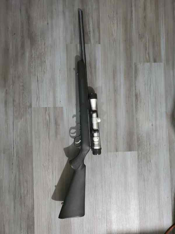 Savage 17hmr