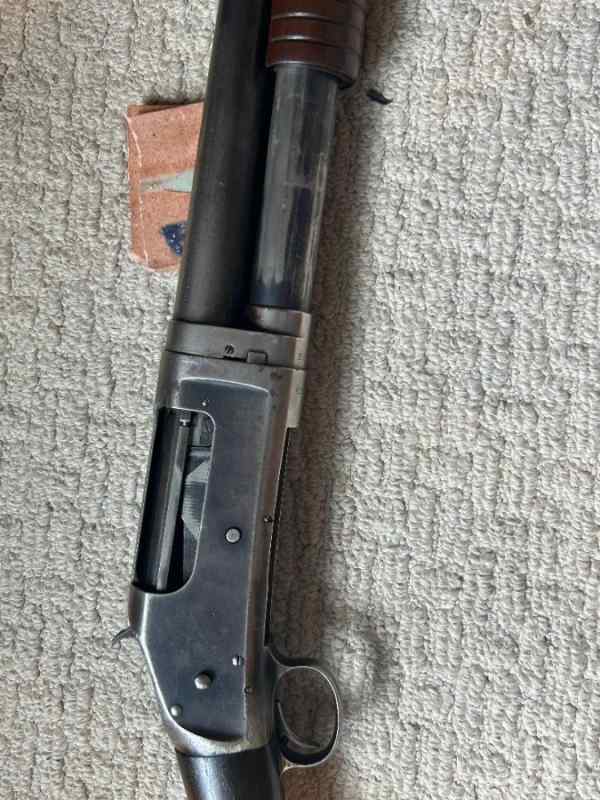 306.jpg