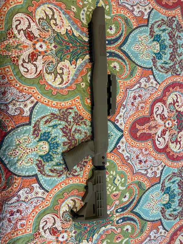 SKS Stock and Mags