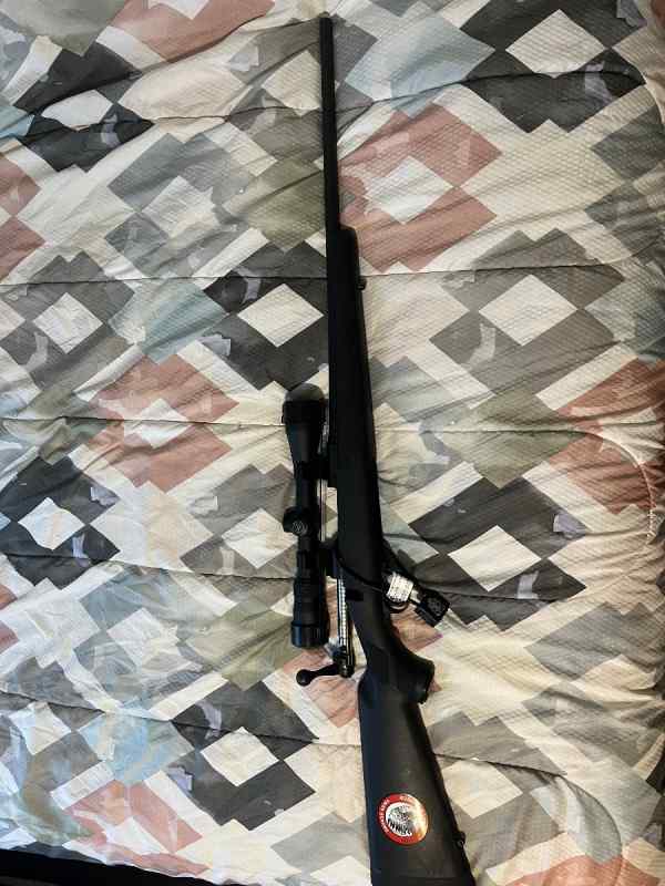 Savage model 11 243 win