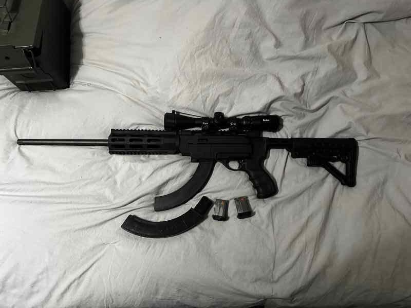 Remington 597 .22