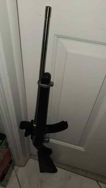 Ruger 18 stainless 2.jpg