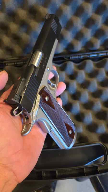 Kimber 3.jpeg