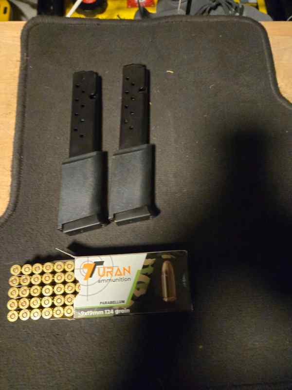 Ruger 16 round bluesteel mags with handgrip 