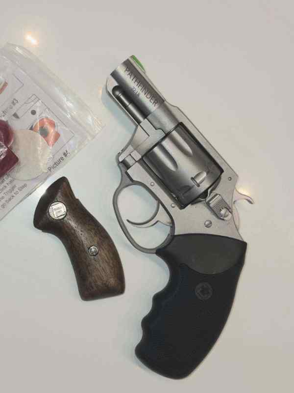 CHARTER ARMS 22LR SNUB 