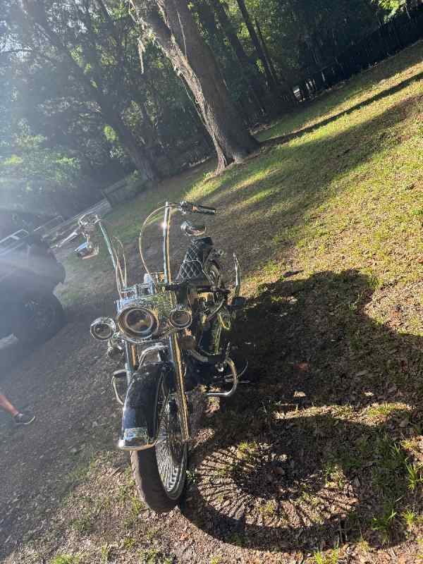 2010 Harley Heritage soft tail