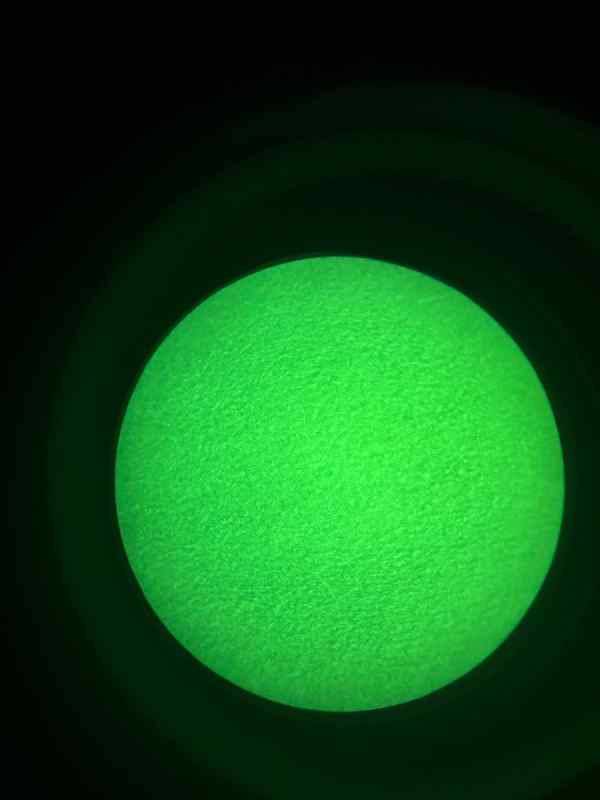 IMG_1273.jpeg