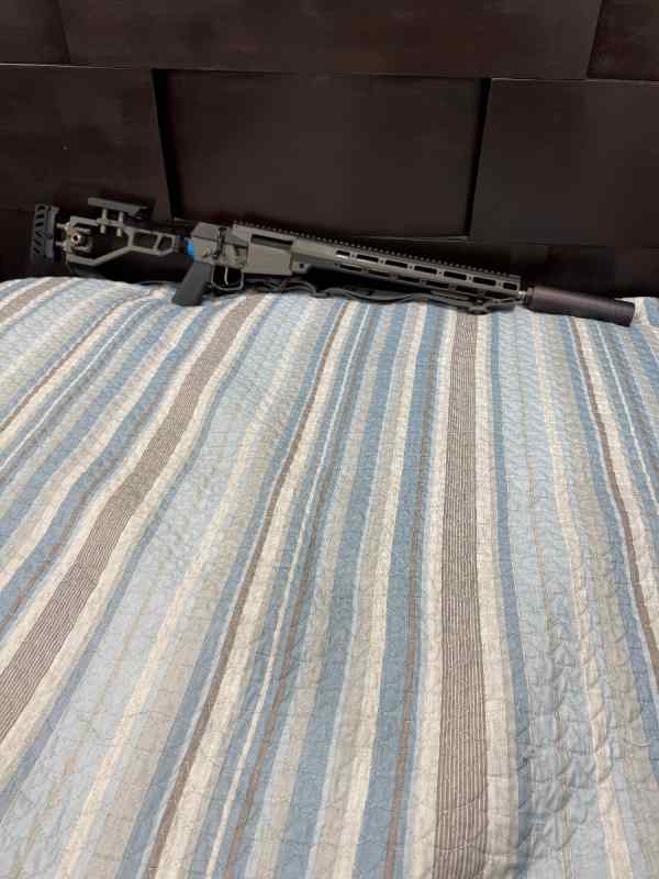 Q The Fix .308 with Q Trash Panda for Sale 