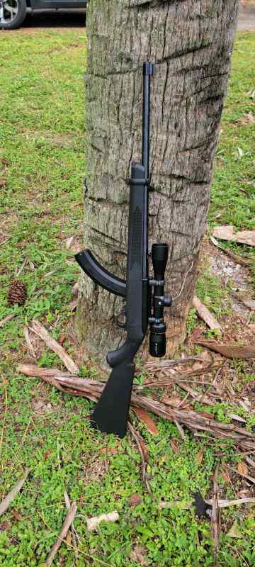 Ruger 10/22 synthetic stock