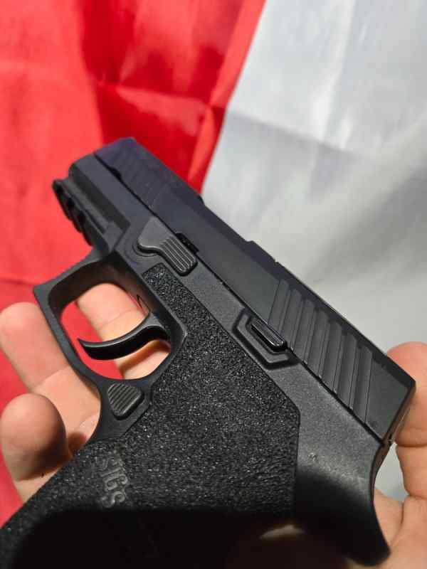 Sig p320 &quot;Carry Sub Compact