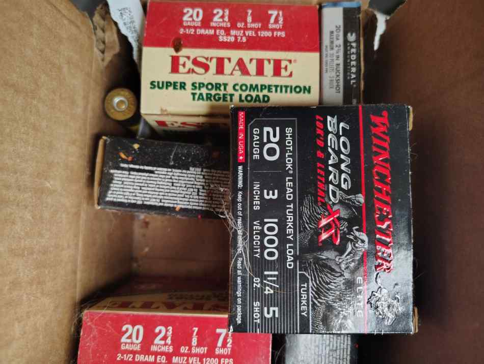 20 ga. Ammo 