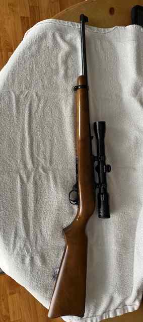 Ruger 10/22 magnum 22wmr