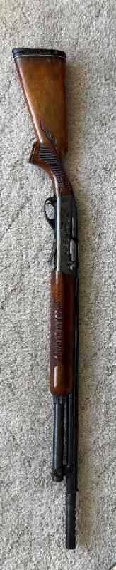 IMG_1515.jpeg