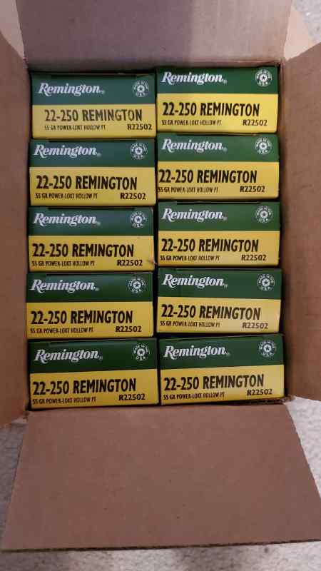 .22-250 remington 55gr hp 200rnds   $200.00