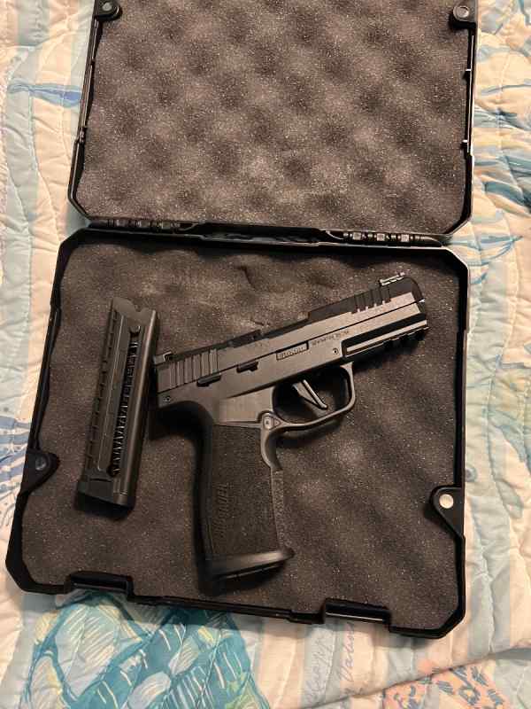 Fs/ft sig p322 22lr