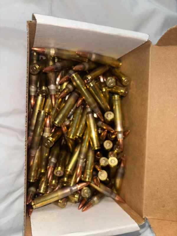 ammo2.jpg