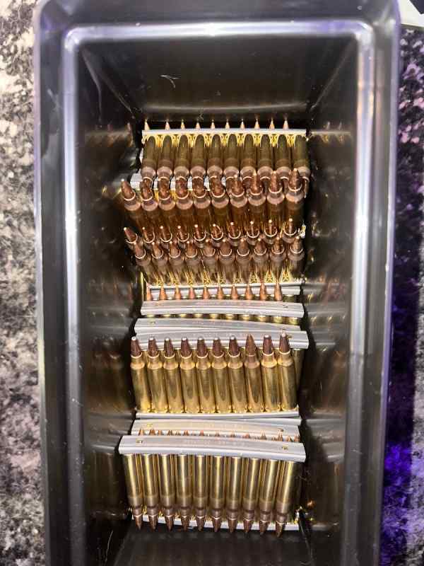 500 rds of pmc 55gr 556 