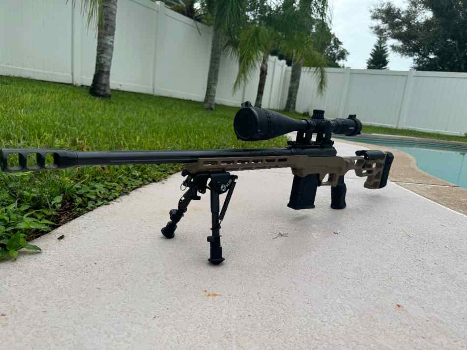 Savage 110 precision.308