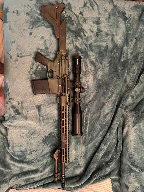 AR-10 in .308 with 650rds of Ammo