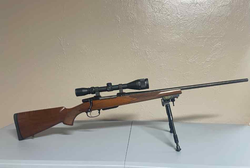 CZ 550 chambered in 243 win $800