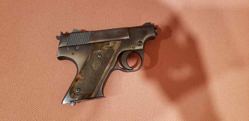 RARE Sterling Arms model PPL- 287 .380 auto