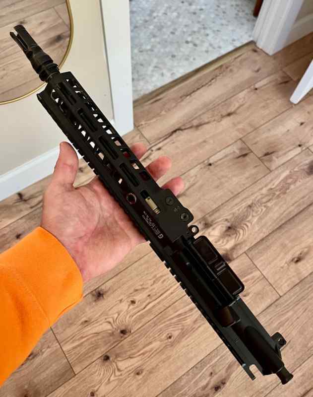 Stripped 5.56 Upper (Geissele/Ballistic Advantage)