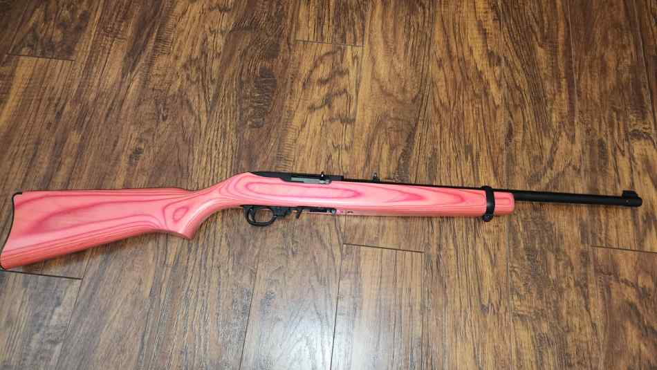 Downsizing - Pink Ruger 10/22 &amp; 4 HK USP 9MM Mags