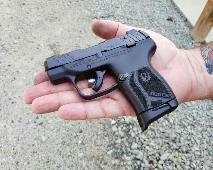 Ruger LCP Max - Gainesville/Newberry