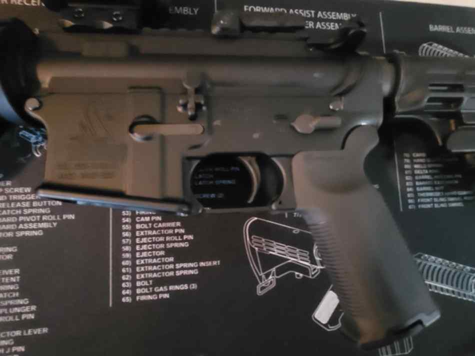 1000028293.jpg