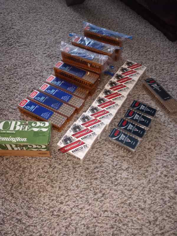 .22 LONG RIFLE AMMO LOT