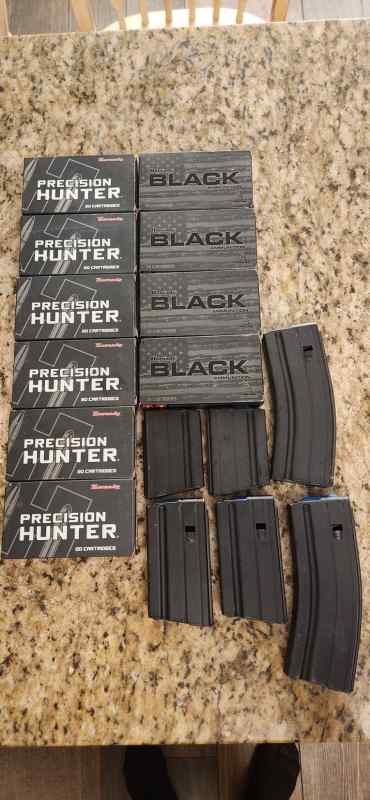 6MM ARC Ammo and Magazine Bundle Lot